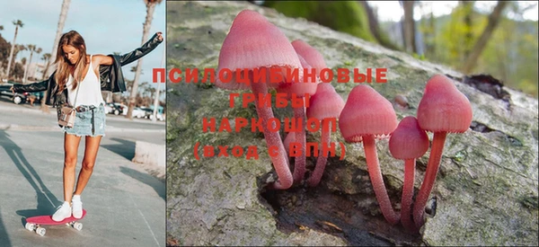каннабис Михайловка