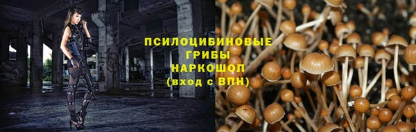 apvp Нея
