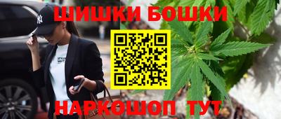 МДПВ Будённовск