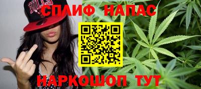 МДПВ Будённовск