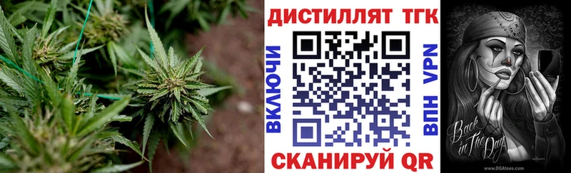ТГК THC oil  Калининград 