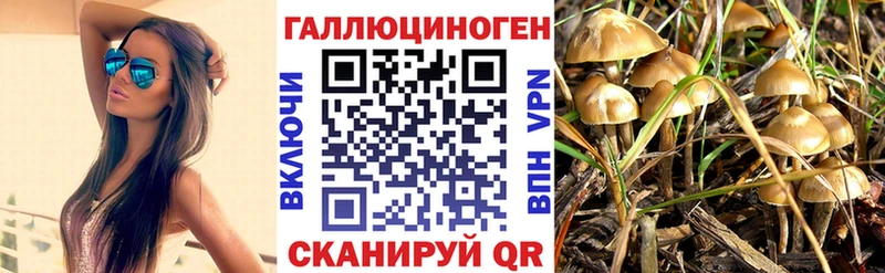 мега сайт Калининград Галлюциногенные грибы мицелий