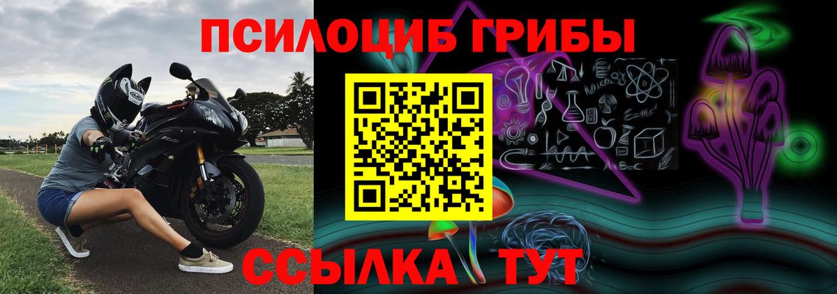 Галлюциногенные грибы Psilocybe  Калининград 
