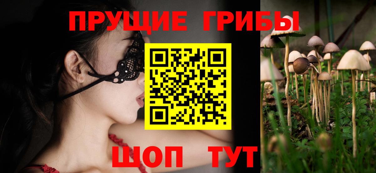 Псилоцибиновые грибы ЛСД  Вход с VPN  Калининград  Галлюциногенные грибы GOLDEN TEACHER 