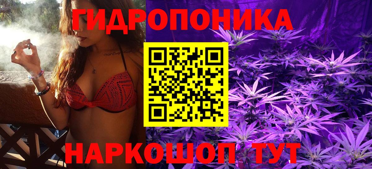 Канабис семена Калининград